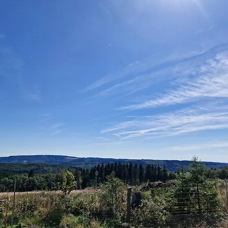 Sommer