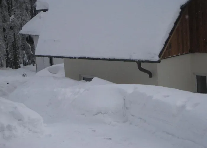 Sommer وينتربرغ